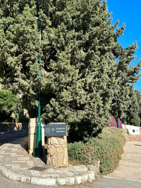 🇪🇸🏰 Malaga｜The Perfect Chill Day Trip ☺️‼️