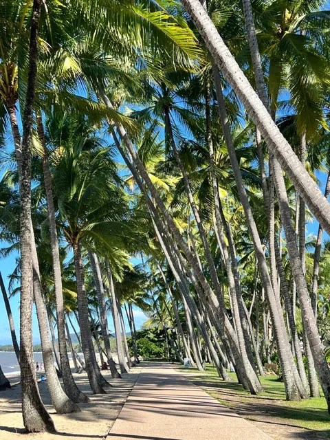 🇦🇺 4D3N Cairns Itinerary: Reef, Rainforest & Relaxation 🌊🌴