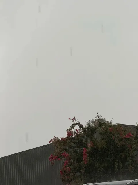 Atlanta’s Sichuan Cuisine Is Even Better Now! 🌶️