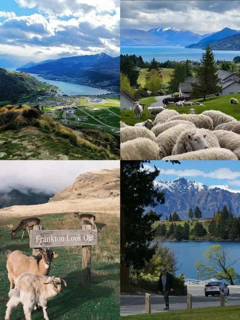 🇳🇿 Queenstown: A Love Affair for All Seasons ❄️🌿☀️🍂