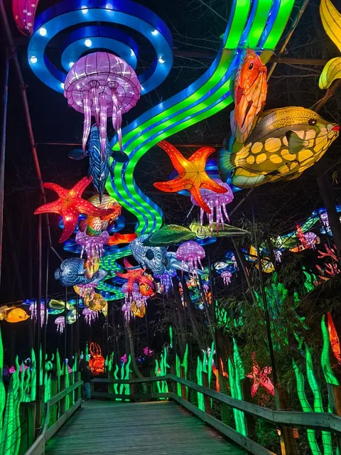 Michigan Eats | Grand Rapids Pho—Disappointing & Overpriced 😕