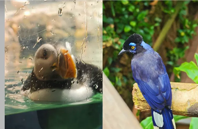 Central Park Citywalk One-Day Itinerary (Super Detailed Version) 🌟