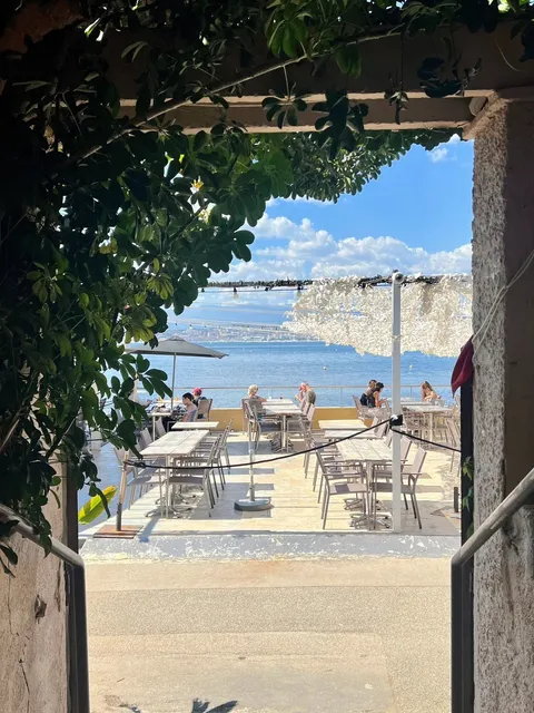 🌊 Live｜One Summer in the South of France, at Least