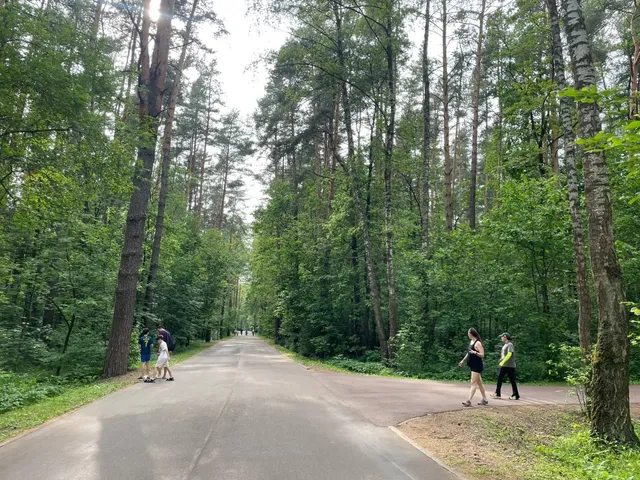 🇷🇺 Moscow Forest Park 🌳 Explore Moscow Ep.16