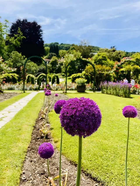 Must-Visit Park by Lake Maggiore in Milan! 🌅🏞️