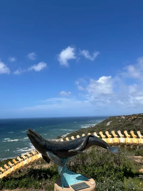 🏞️ Must-Visit Guide to Point Loma