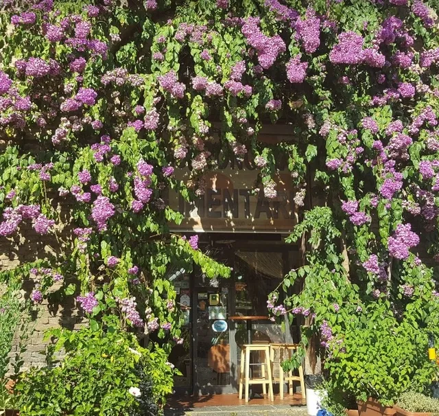 A Panini Paradise Behind Siena’s Main Square