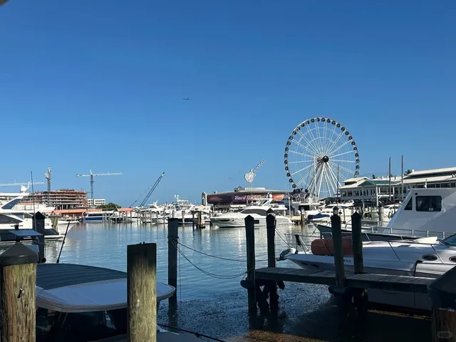 Miami Solo Trip Guide