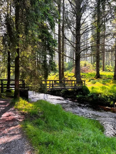 🇬🇧 Real-Life Lord of the Rings! Birmingham’s Enchanted Forest 🌳✨