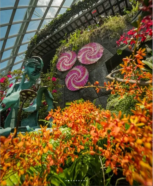 📣 Natural Landscapes & Amusement Parks 🌳🎢