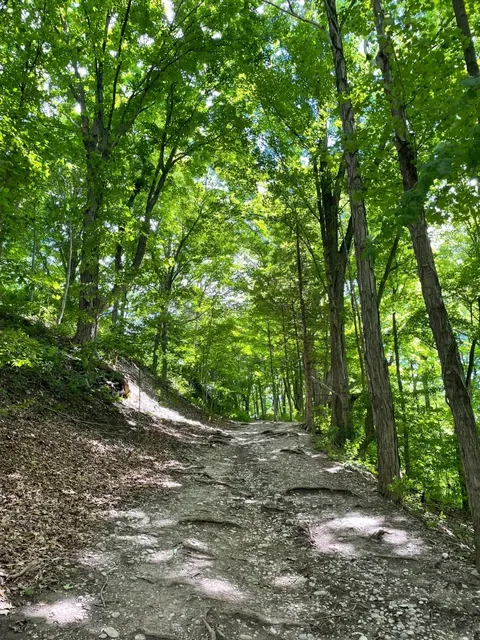 A Hike in North America's Largest Urban National Park! 🏟🚶‍♀️🌳