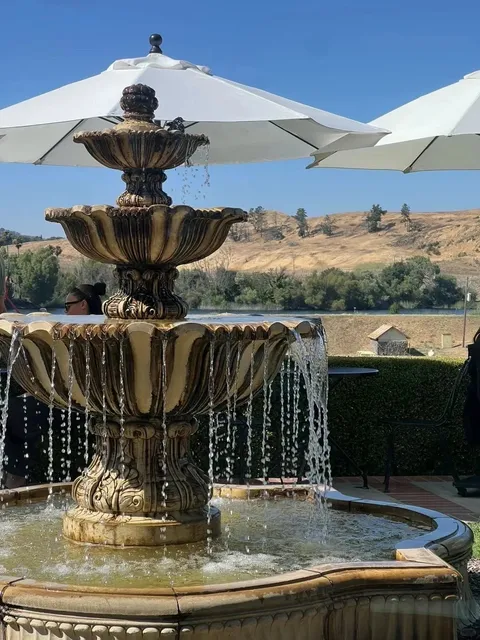 Napa | ⚔️ Sabrage – Champagne Opened with a Sword at a Château Winery 