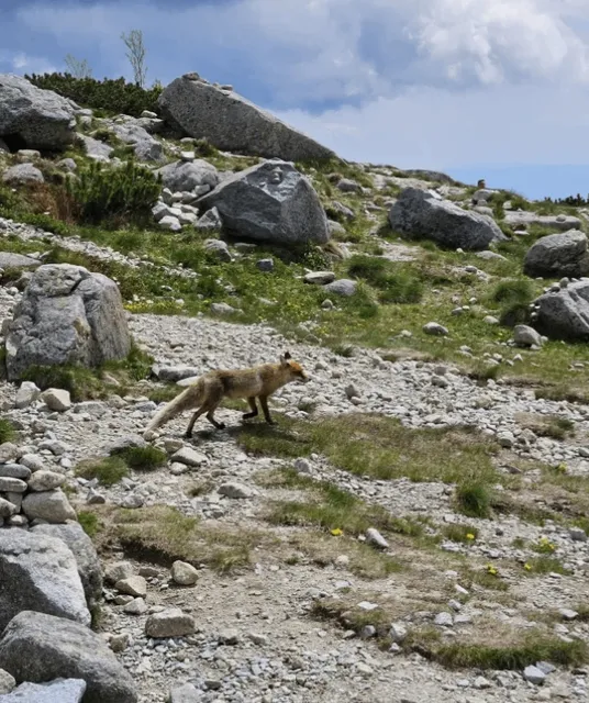 Sharing an Absolutely Stunning Hiking Route in the Tatra Mountains