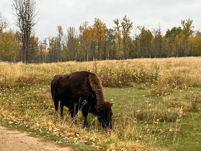 🇨🇦Self - driving across Canada 🇨🇦—Saskatoon 1️⃣