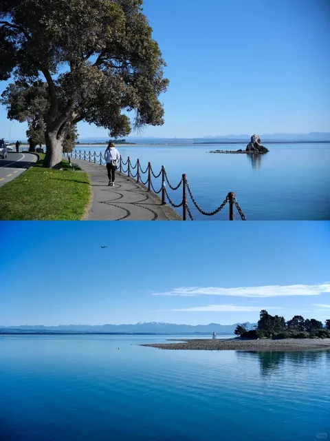 🇳🇿 Nelson, NZ | Ultimate Guide to Food & Sights