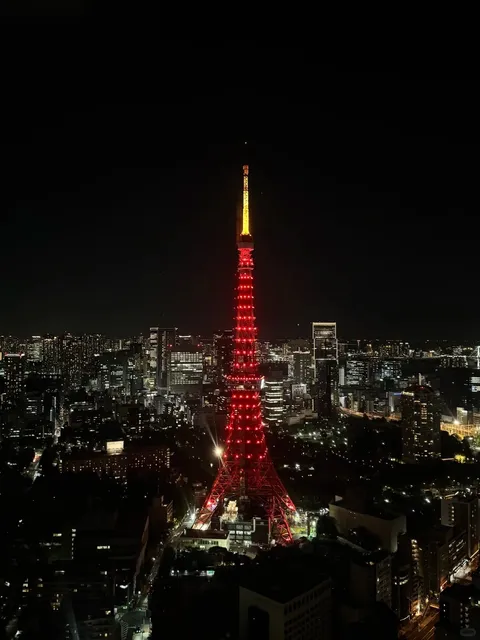 Comparing Tokyo's Two Major Observation Decks(2)