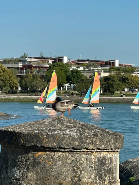 🇫🇷 La Rochelle Day Trip: Ports, Towers & Sea Adventures!