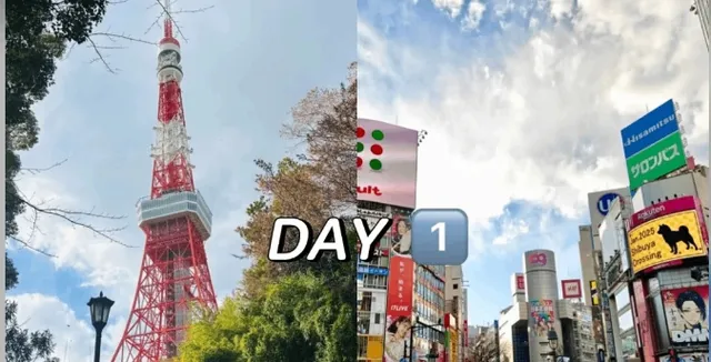 One-Day Tour in Tokyo 🌟