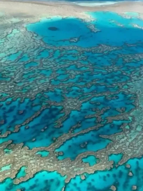 🇦🇺 Australia Diving Guide 🤿 All You Need in One Post!