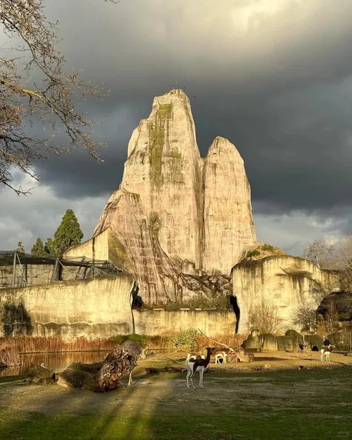 Paris Zoo is so much fun