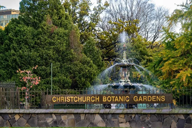 Cardboard Cathedral  | A Quiet Symbol of Resilience & Hope  