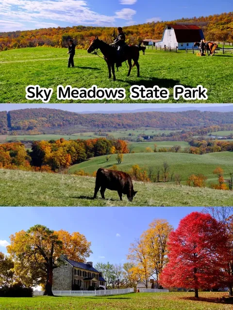 Closer & More Colorful Than Shenandoah: 🍁