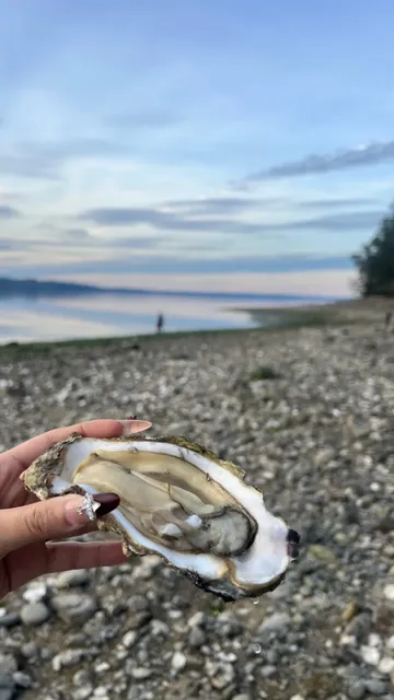 Seattle | 🦪 These Might Just Be the Best Oysters in the World!