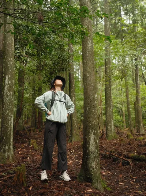 Hiking in the Izu Forest During National Day 🥾♨️