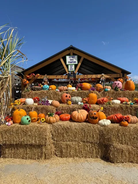 Los Angeles Fall Exclusive📍Tanaka Farms🎃