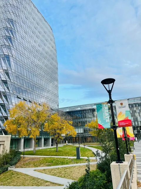 🌍🎓 Calgary University: Canada’s Hidden Gem! 💎