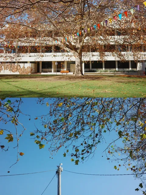 A Half-Day in Albury: Morning Mist, Sunshine & Historic Streets 🌫️✨
