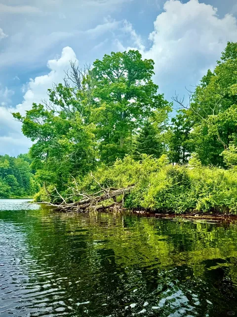 🇨🇦 Montreal | The Ultimate BBQ & SUP Park Getaway 🍖🌲