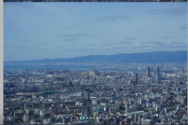 Harukas 300 Sky Garden 🌿🍃