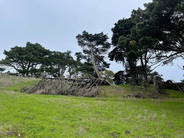 McLaren Park: San Francisco's Hidden Urban Oasis 🌳🌉