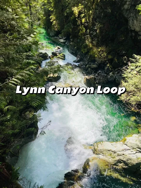 🇨🇦 North Van's Perfect Beginner-Friendly Hike with Easy Parking! 🚶‍