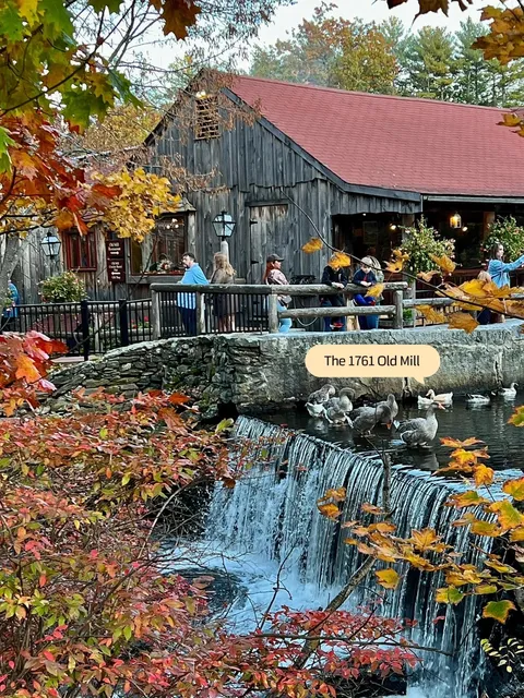   The Old Mill Restaurant with Stunning Autumn Views 🍂