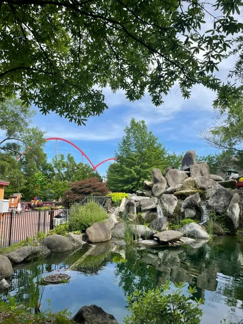 Where to Visit in NC? - Carowinds