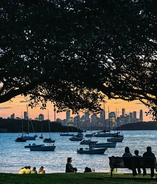 🇦🇺 Instant Energy Boost! 🐕 Brisbane’s Ultimate Dog-Walking Paradise