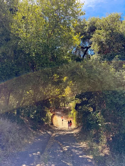 LA Weekend Hike｜Hidden Gem Trail with Stunning Nature Views 🌿🚶‍♀️