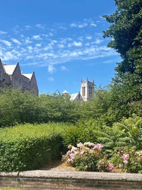 ​​🎨 UW's Hidden Gem - First Visit to Henry Art Gallery!​​