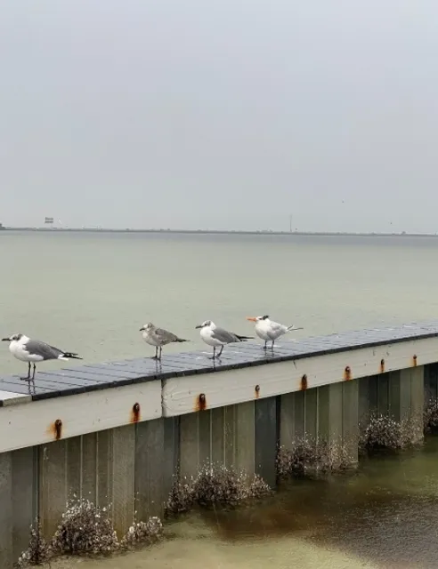 A Natural Retreat at the Edge of the City!