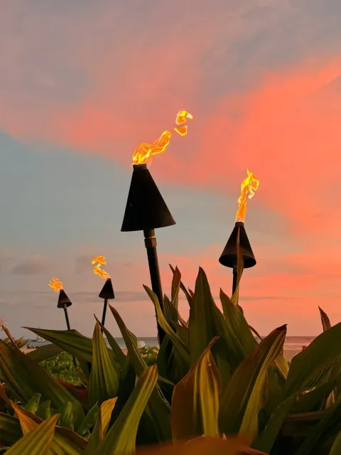 Wonderful Vacation Vibes! 🌟