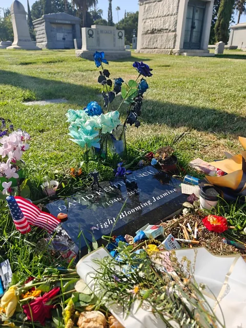 David Lynch’s Grave: “Night Blooming Jasmine” 🌙✨  