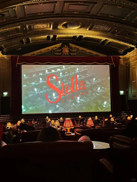 Dublin's Ultra-Retro Cinema｜Harry Potter Re-Run Season 🎬🍿