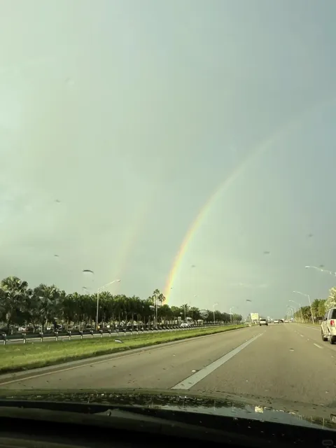 🌿 Everglades National Park | Miami's Wild Wetland Wonderland 🐊