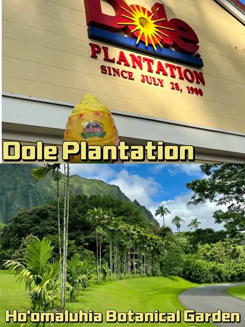 Oahu, Hawaii 2025 Guide | Must-See Spots & Food Map