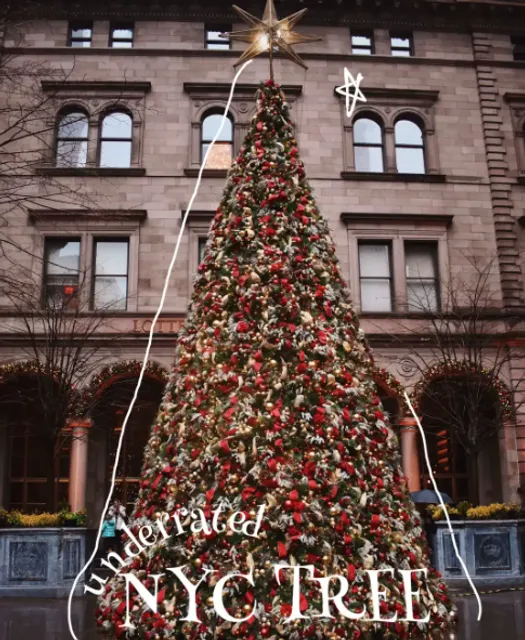 🎄 Underrated NYC Tree: Lotte Palace