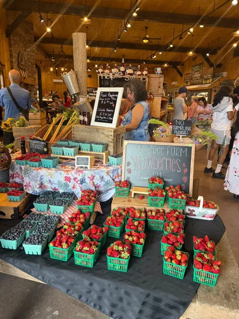  Willow Tree Farm - Where Groceries Meet Playtime! 🌱  