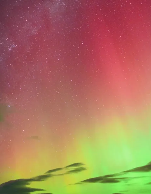 Tasmania | Stay in a Luxury Hotel That Feels Like an Art Gallery!​​