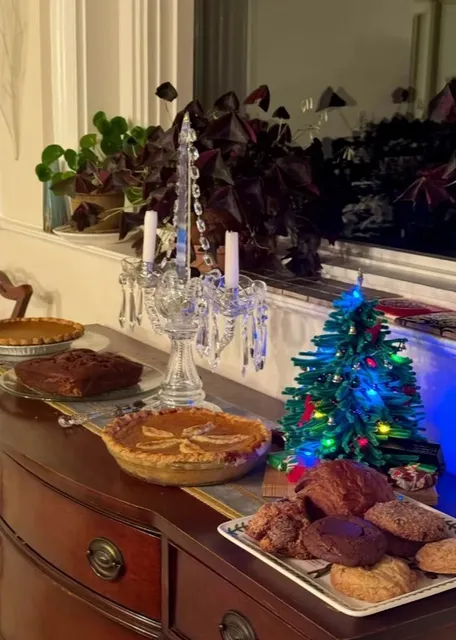 🎄 Phipps Conservatory | Holiday Magic in Pittsburgh